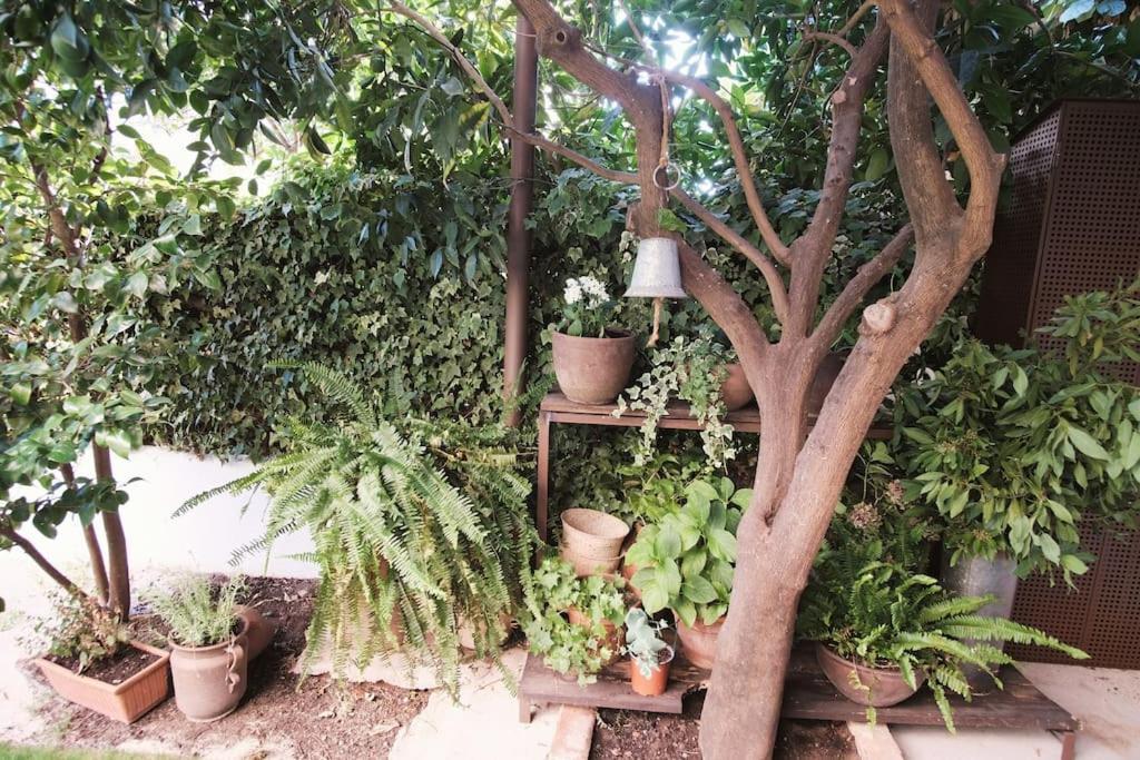 La Casa Del Jardin Villa Candeleda Kültér fotó
